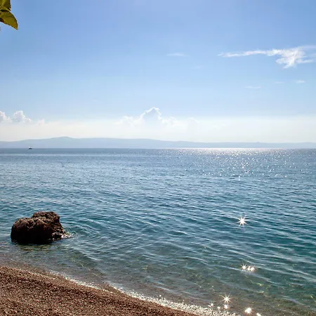 Bluesun Alga Hotel