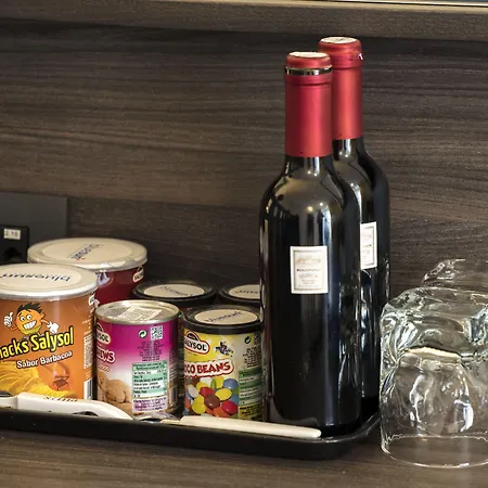 布鲁萨阿尔加酒店 4*