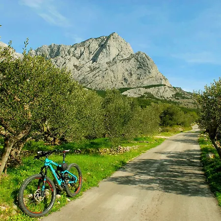 Bluesun Alga Szálloda