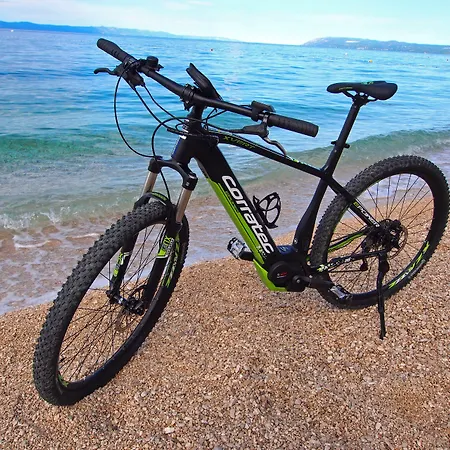 Bluesun Alga 4*