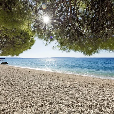 Bluesun Alga Hotel Tučepi