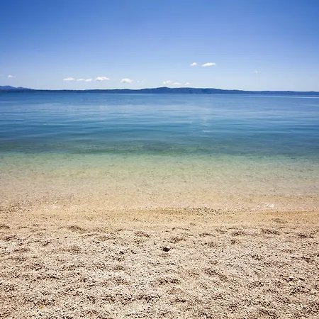 Bluesun Alga 4*