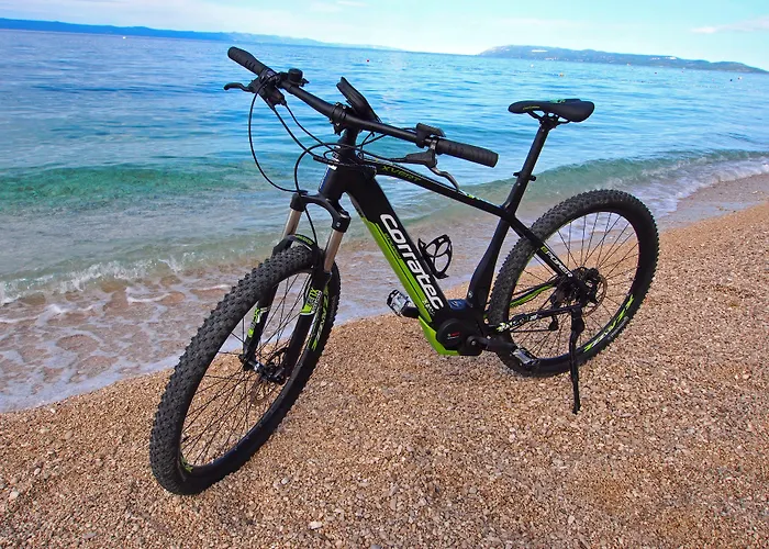 Bluesun Alga 4*
