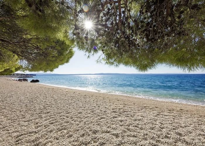 Bluesun Alga Hotel Tučepi