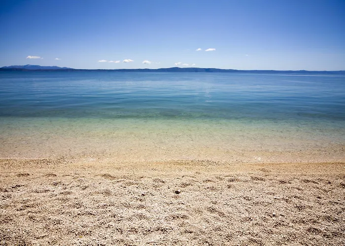 Bluesun Alga 4*